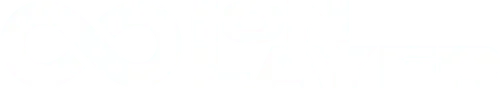Ion Layer